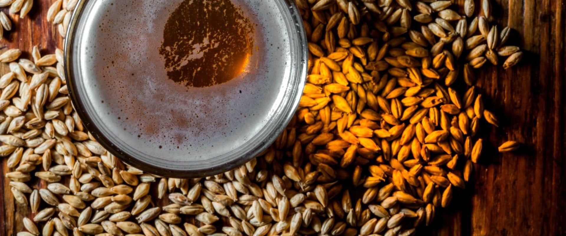 Los increíbles beneficios para la salud de los granos germinados como la cebada