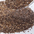 Semillas de chía: descripción general de los superalimentos